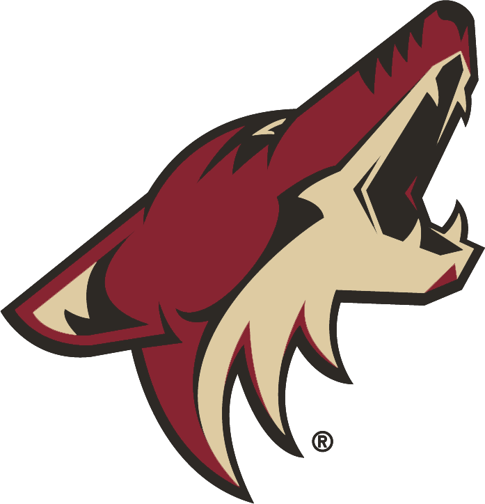 arizona coyotes